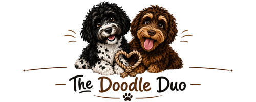 The Doodle Duo