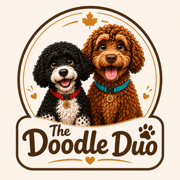 Instagram post from The Doodle Duo Store
